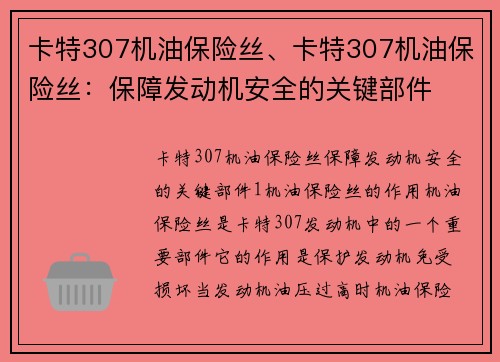 卡特307机油保险丝、卡特307机油保险丝：保障发动机安全的关键部件